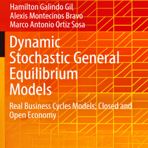 Dynamic Stochastic General Equilibrium Models